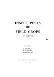 INSECT PESTS FIELD CROPS - Sugar Industry Collection
