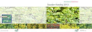 Stauden Katalog 2013 - beim Staudenring