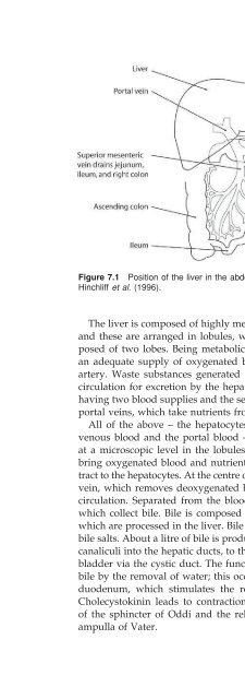 Gastrointestinal Nursing.pdf