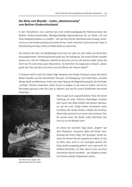 Jahresbericht 2013 als PDF - Deutscher Kinderschutzbund