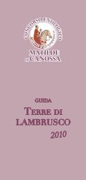 LAMBRUSCO 2010 - Matilde di Canossa