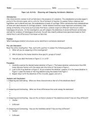 Vertebrate Skeletons Activity.pdf