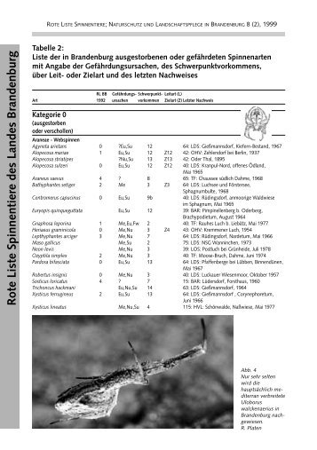 Rote Liste Spinnentiere des Landes Brandenburg