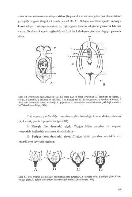 PDF Dosyası - Ankara Üniversitesi Kitaplar Veritabanı