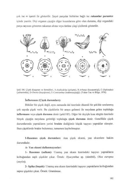 PDF Dosyası - Ankara Üniversitesi Kitaplar Veritabanı