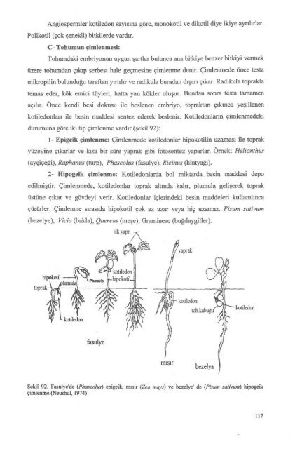 PDF Dosyası - Ankara Üniversitesi Kitaplar Veritabanı