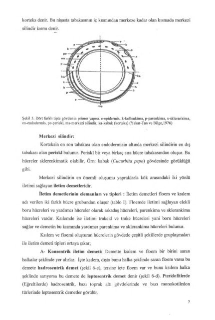 PDF Dosyası - Ankara Üniversitesi Kitaplar Veritabanı