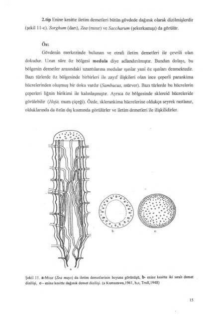 PDF Dosyası - Ankara Üniversitesi Kitaplar Veritabanı