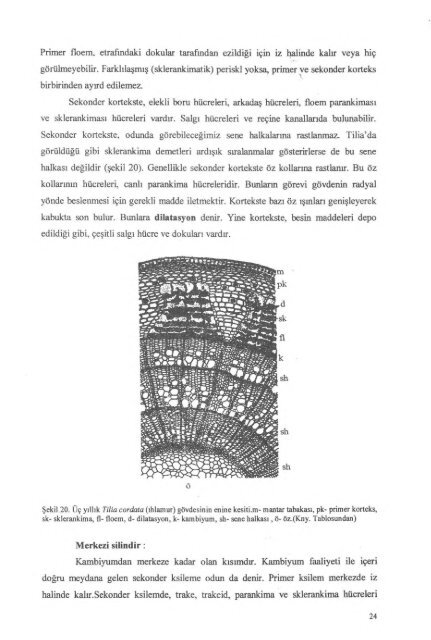 PDF Dosyası - Ankara Üniversitesi Kitaplar Veritabanı