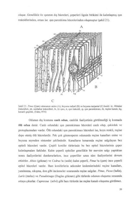 PDF Dosyası - Ankara Üniversitesi Kitaplar Veritabanı