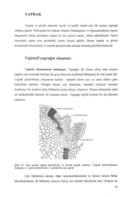 PDF Dosyası - Ankara Üniversitesi Kitaplar Veritabanı