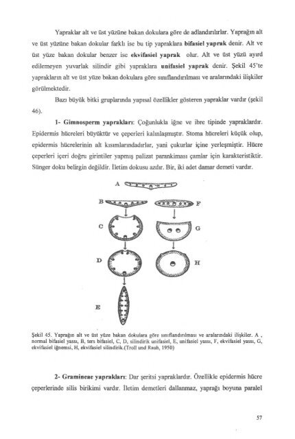 PDF Dosyası - Ankara Üniversitesi Kitaplar Veritabanı