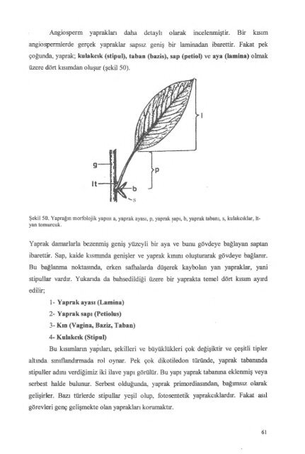 PDF Dosyası - Ankara Üniversitesi Kitaplar Veritabanı