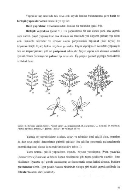 PDF Dosyası - Ankara Üniversitesi Kitaplar Veritabanı