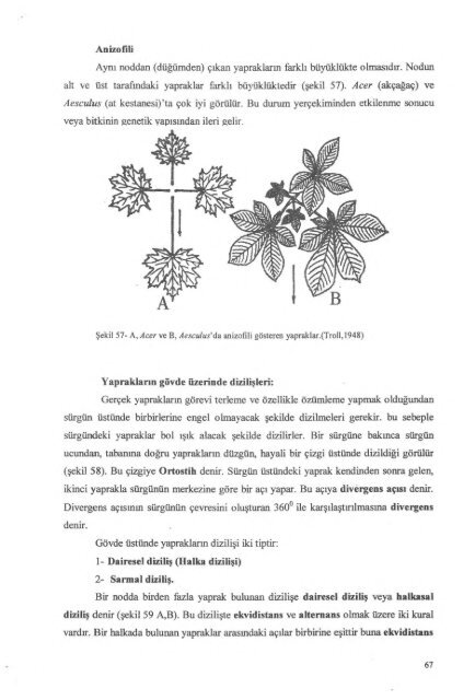 PDF Dosyası - Ankara Üniversitesi Kitaplar Veritabanı