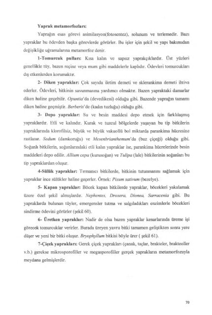 PDF Dosyası - Ankara Üniversitesi Kitaplar Veritabanı