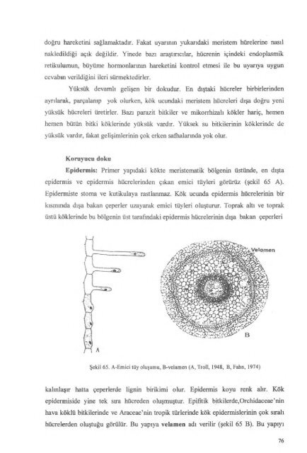 PDF Dosyası - Ankara Üniversitesi Kitaplar Veritabanı