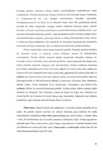 PDF Dosyası - Ankara Üniversitesi Kitaplar Veritabanı