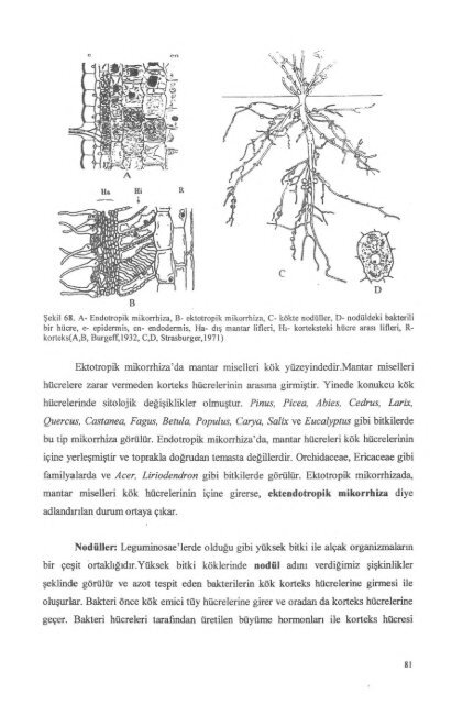 PDF Dosyası - Ankara Üniversitesi Kitaplar Veritabanı