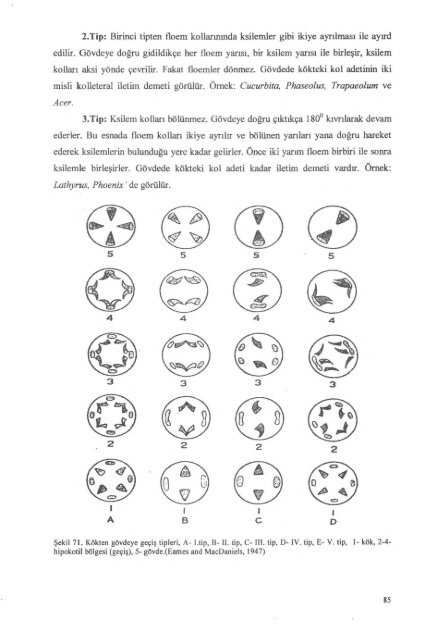 PDF Dosyası - Ankara Üniversitesi Kitaplar Veritabanı