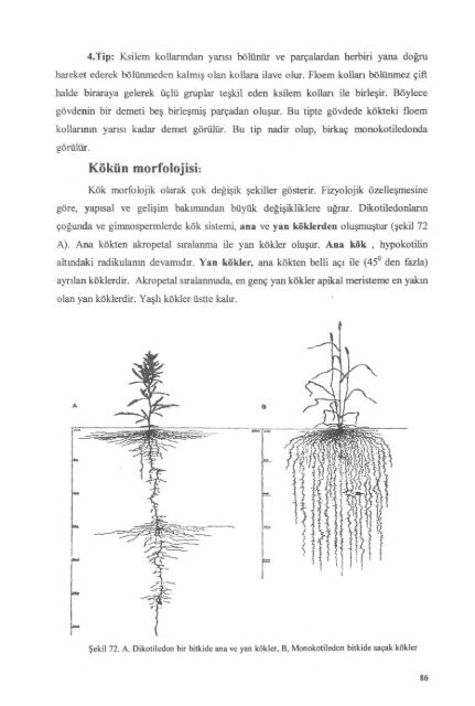 PDF Dosyası - Ankara Üniversitesi Kitaplar Veritabanı