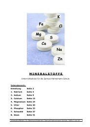 Band-01-3-Mineralien - Samuel-Hahnemann-Schule