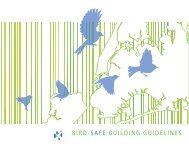 BIRD-SAFE BUILDING GUIDELINES - New York City Audubon Society