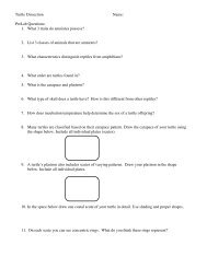 Turtle Dissection Name: PreLab Questions: 1. What 3 traits do ...