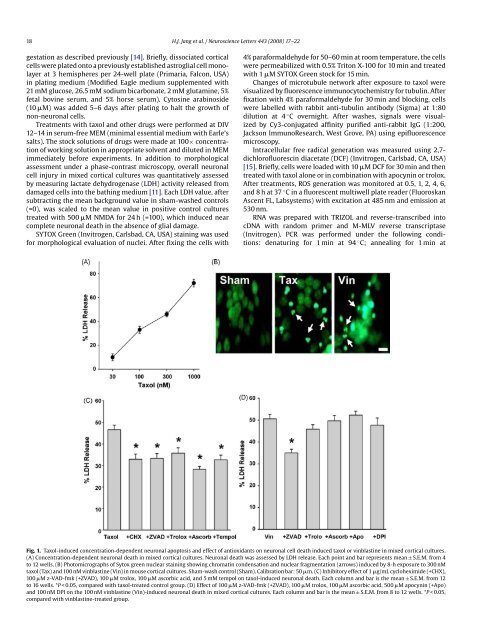 Targeting cyclin B1 inhibits proliferation and sensitizes breast ...