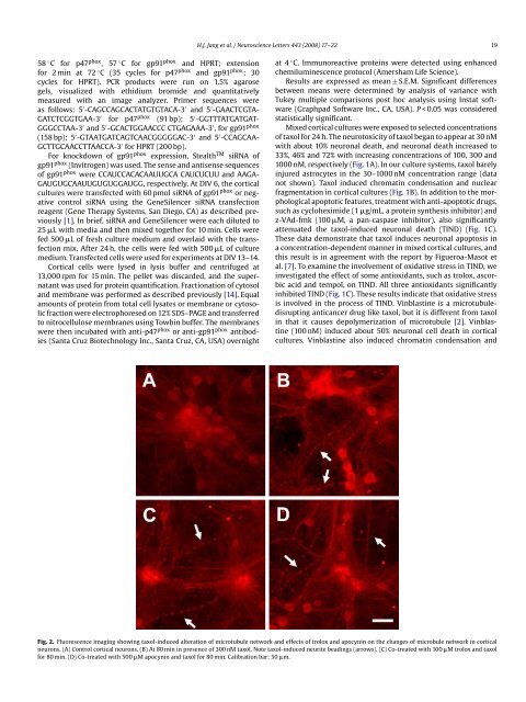 Targeting cyclin B1 inhibits proliferation and sensitizes breast ...