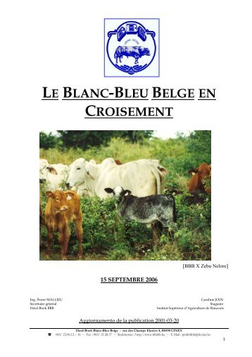 Le Blanc-Bleu Belge en croisement