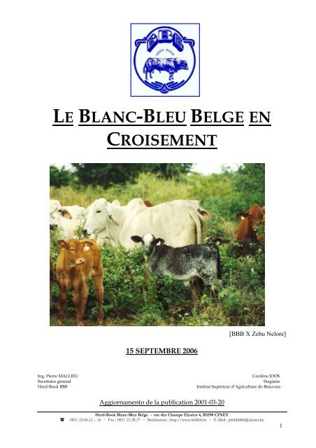 Le Blanc-Bleu Belge en croisement