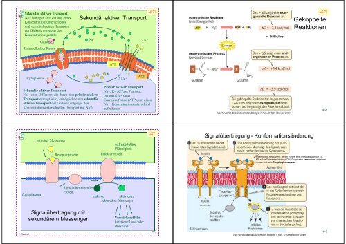 Biologie f. Pharmazeuten - PharmXplorer