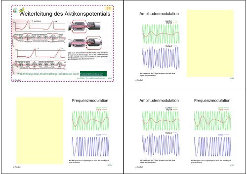 Biologie f. Pharmazeuten - PharmXplorer