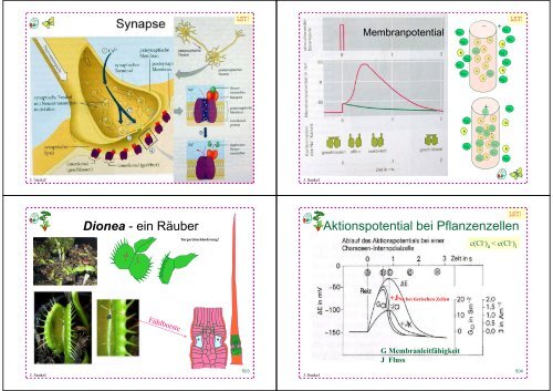 Biologie f. Pharmazeuten - PharmXplorer