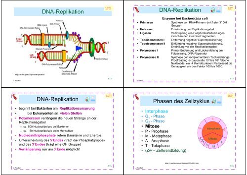 Biologie f. Pharmazeuten - PharmXplorer