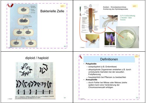 Biologie f. Pharmazeuten - PharmXplorer