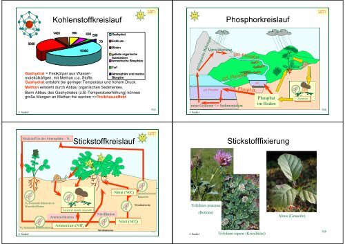 Biologie f. Pharmazeuten - PharmXplorer