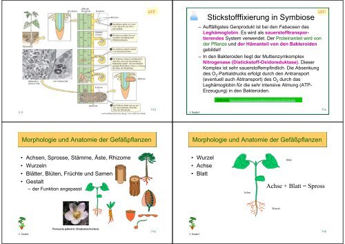 Biologie f. Pharmazeuten - PharmXplorer