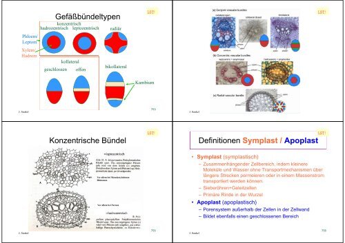 Biologie f. Pharmazeuten - PharmXplorer