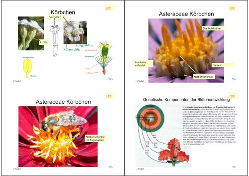 Biologie f. Pharmazeuten - PharmXplorer