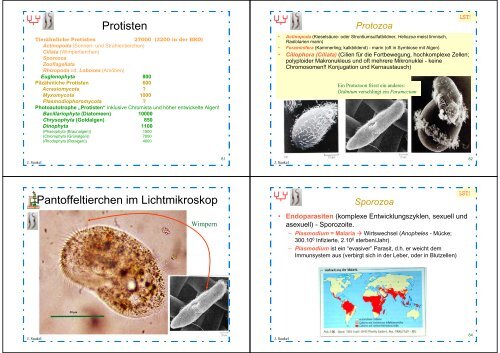 Biologie f. Pharmazeuten - PharmXplorer