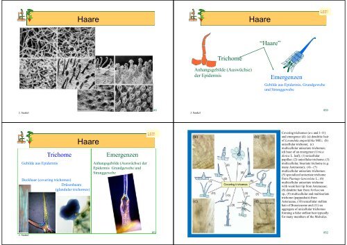 Biologie f. Pharmazeuten - PharmXplorer