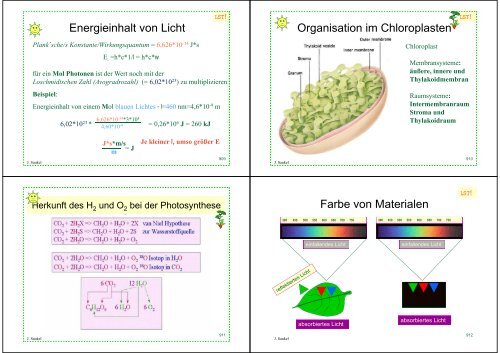 Biologie f. Pharmazeuten - PharmXplorer