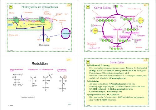 Biologie f. Pharmazeuten - PharmXplorer