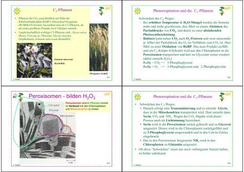 Biologie f. Pharmazeuten - PharmXplorer