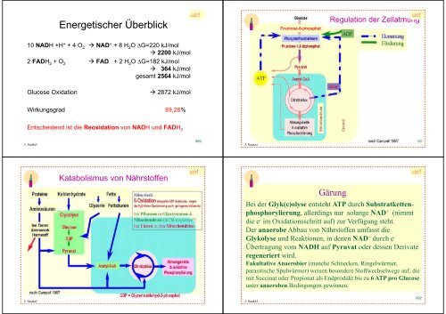 Biologie f. Pharmazeuten - PharmXplorer