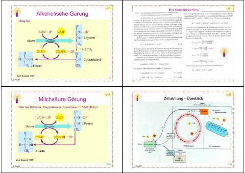 Biologie f. Pharmazeuten - PharmXplorer