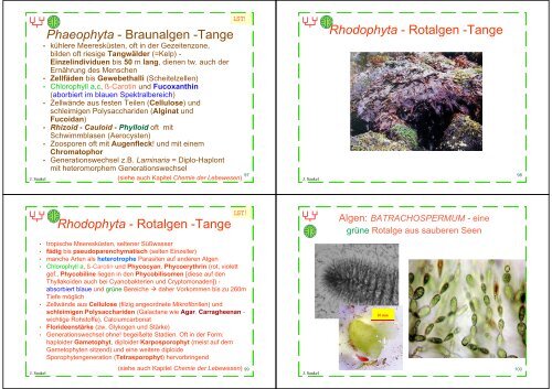 Biologie f. Pharmazeuten - PharmXplorer