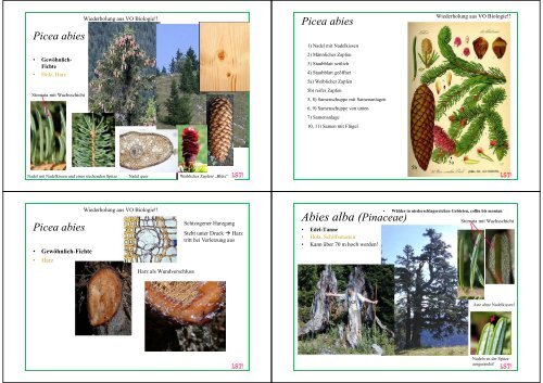 Biologie f. Pharmazeuten - PharmXplorer